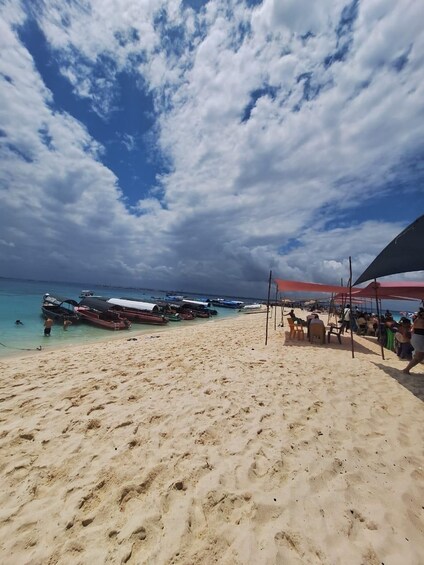 Picture 19 for Activity Zanzibar: Stone town, Prison Island & Nakupenda With BBQ 3