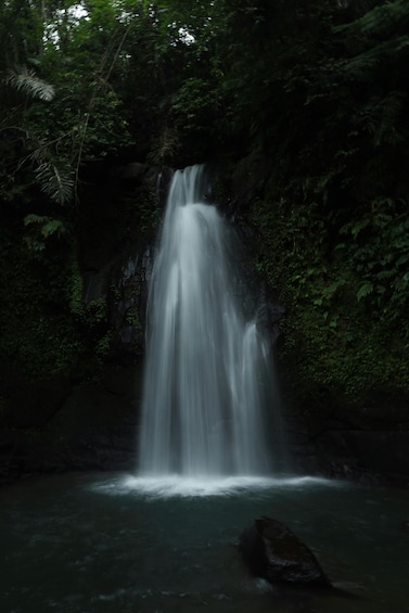 Picture 4 for Activity Ubud, Monkey forest, Riceterace Waterfall, Purification 4