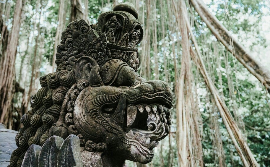 Picture 1 for Activity Ubud, Monkey forest, Riceterace Waterfall, Purification 5