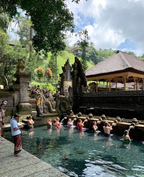 Picture 3 for Activity Ubud, Monkey forest, Riceterace Waterfall, Purification 2
