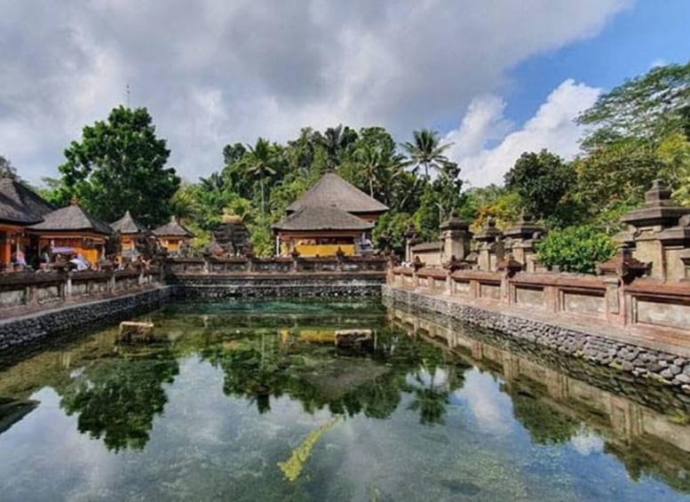 Picture 2 for Activity Ubud, Monkey forest, Riceterace Waterfall, Purification 3