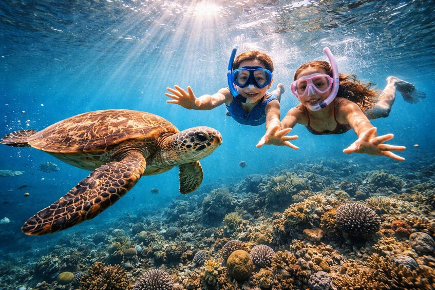 Two people snorkeling underwater with a sea turtle. 3