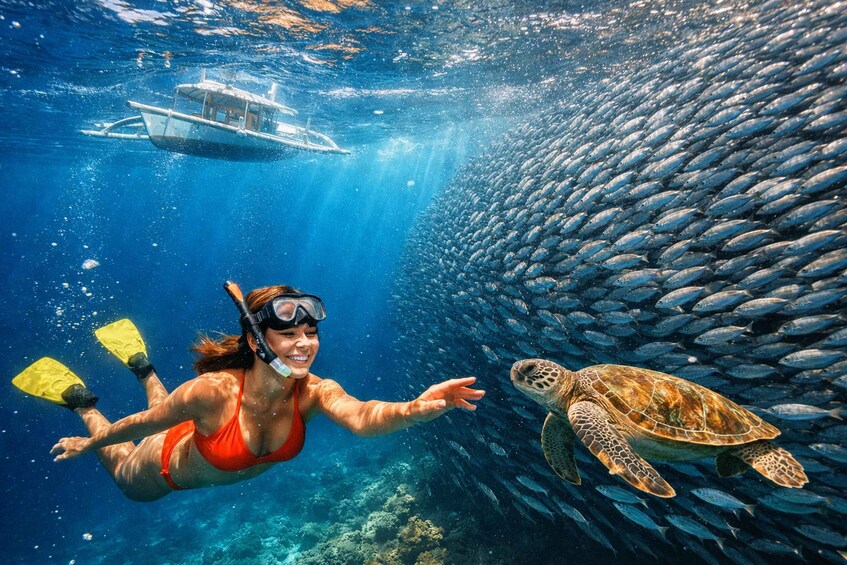 A diver in a red swimsuit and yellow flippers swimming underwater, approaching a sea turtle surrounded by a school of fish, with a boat visible in the background. 1