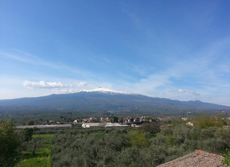 A snow-capped mountain, a town, and olive groves. 3