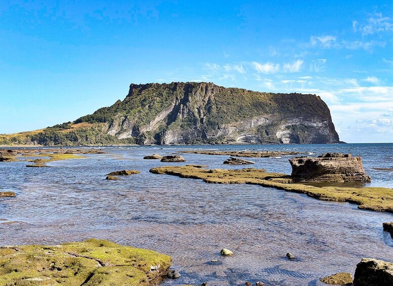 Picture 23 for Activity Jeju: Eastern UNESCO Join in Tour (Seongsan, Haenyeo Show) 3