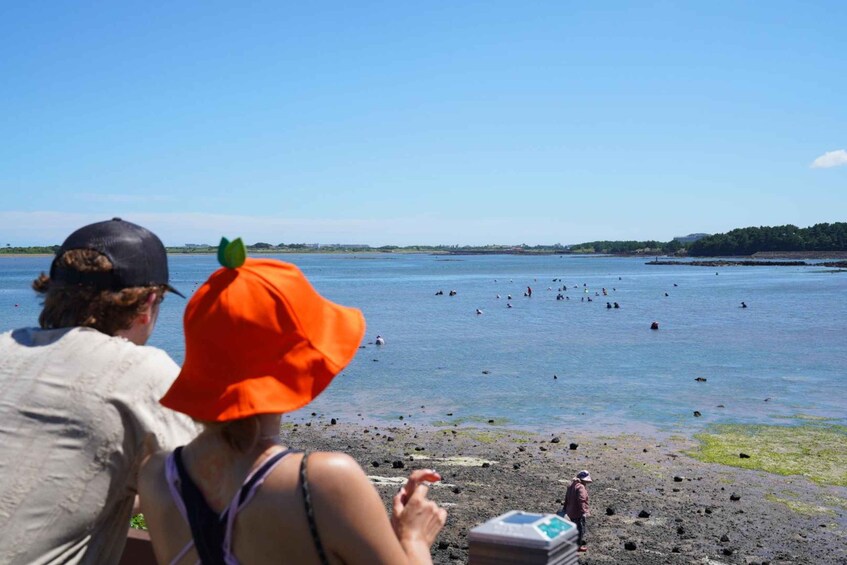 Picture 4 for Activity Jeju: Eastern UNESCO Join in Tour (Seongsan, Haenyeo Show) 2