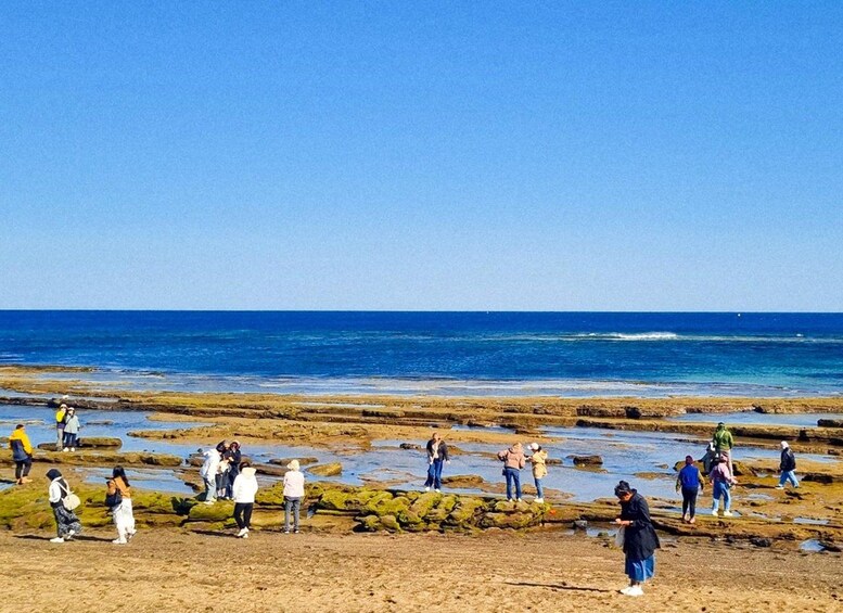 Picture 22 for Activity Jeju: Eastern UNESCO Join in Tour (Seongsan, Haenyeo Show) 4