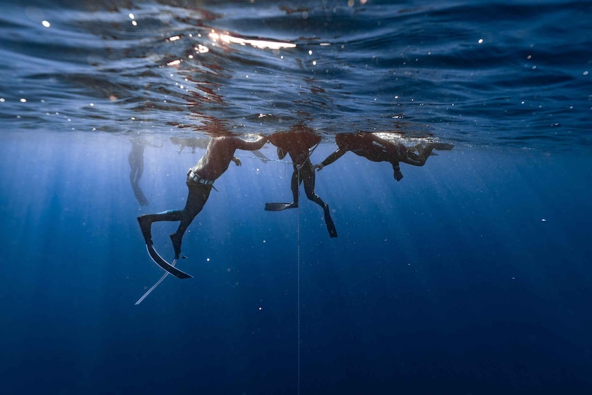 Two divers underwater with fins and a rope. 1