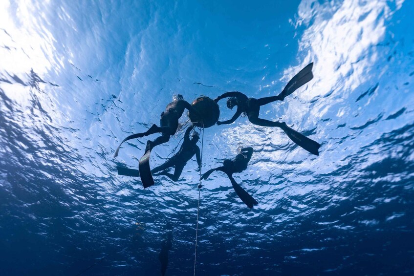 Three scuba divers underwater with a clear view of the ocean floor and a rope connecting them. 2