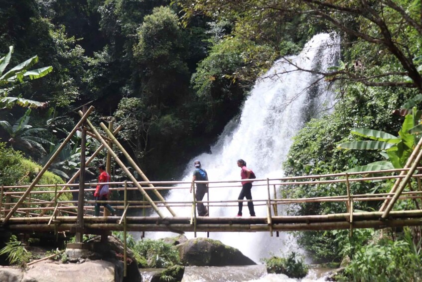 A bamboo bridge over a waterfall in a lush forest. 1