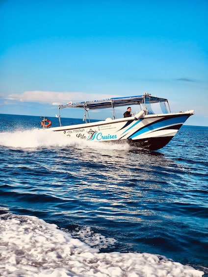 A boat named 'Lile Cruises' moving through the water. 1