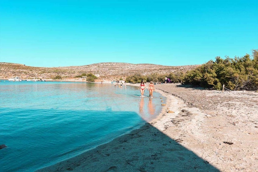 A beach with clear blue water, sandy shore, and sparse vegetation. 2