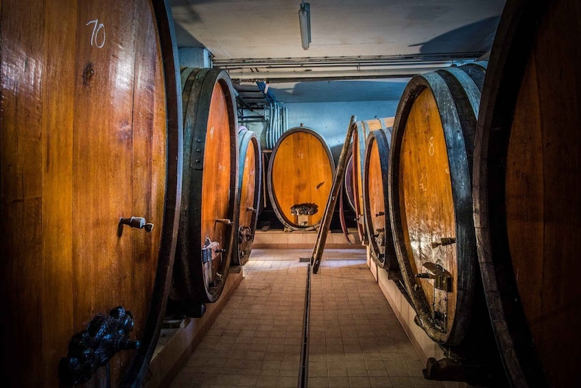 Picture 1 for Activity Kaysersberg: Tasting & Winemaking Secrets at Domaine Dietrich 5