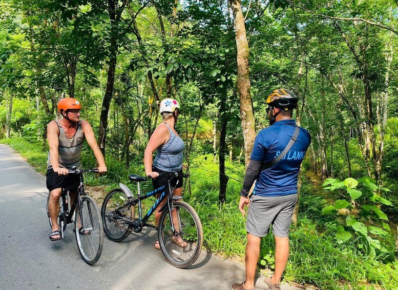 Three people on bicycles on a road surrounded by trees. 1