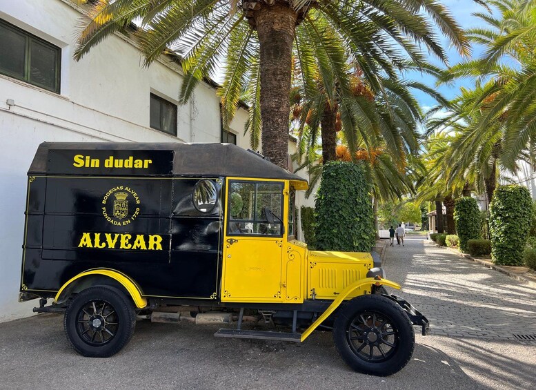Picture 1 for Activity Montilla, Cordoba: Bodegas Alvear Winery Tour & Wine Tasting 5
