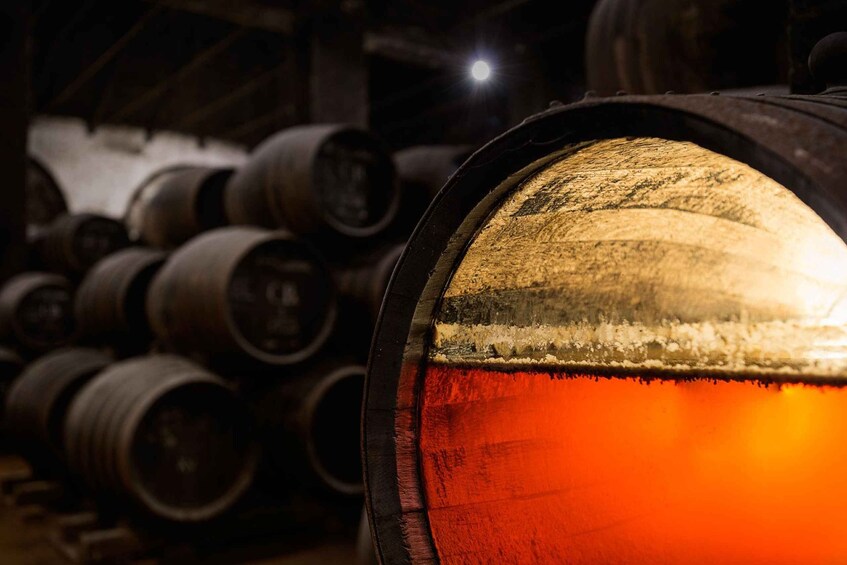 Picture 4 for Activity Montilla, Cordoba: Bodegas Alvear Winery Tour & Wine Tasting 4