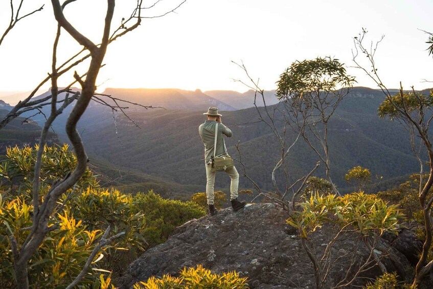 Blue Mountains Wild Kangaroos & Sunset Day Tour - Late Start 1