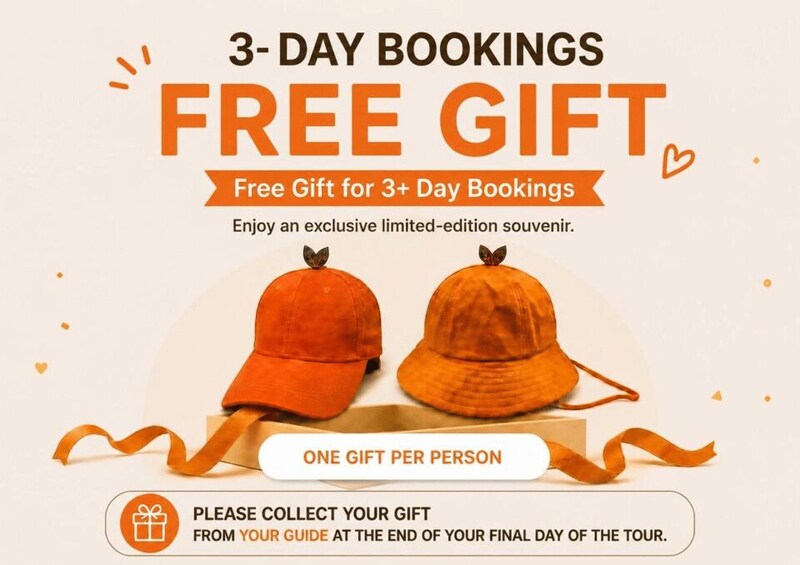 Picture 4 for Activity Jeju: East UNESCO & Must-See Day Tour with Hotel Pickup 2