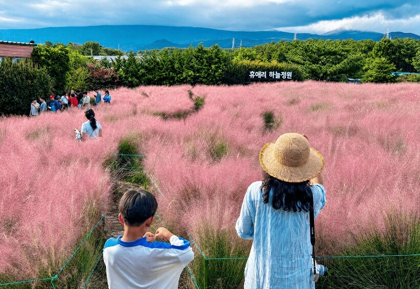 Jeju 2-Day: East &Southwest Highlights with Seasonal Flowers 1