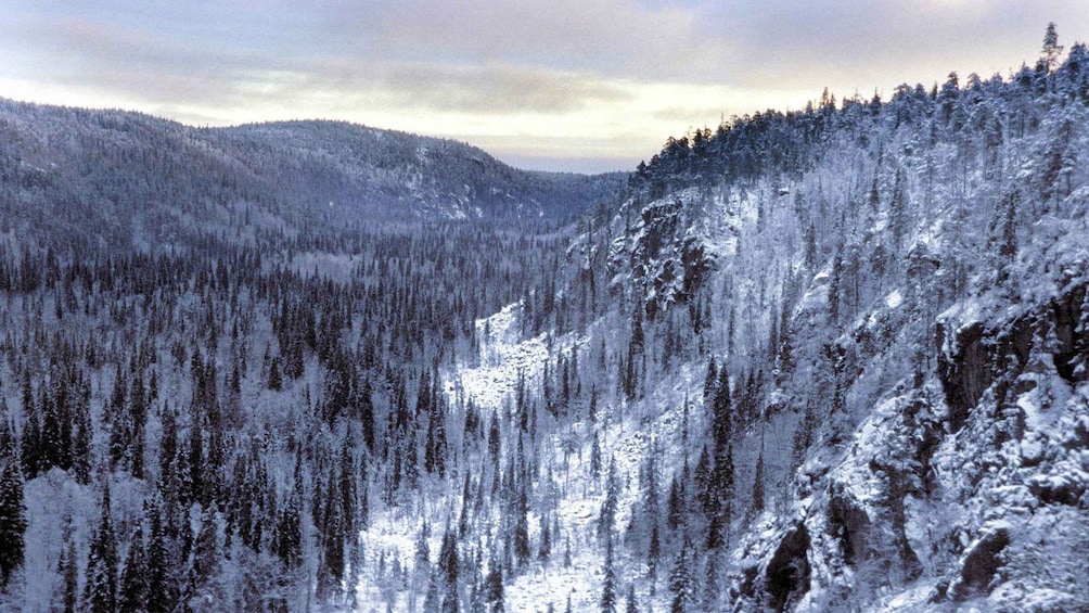 A snow-covered mountainous landscape with dense forests. 1