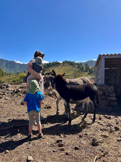 A person carrying a child and another child standing on a rocky terrain with a donkey in the foreground and a wooden structure in the background. 4