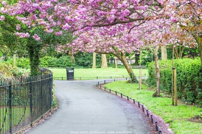 Private Walking Tour of Dublin's Highlights