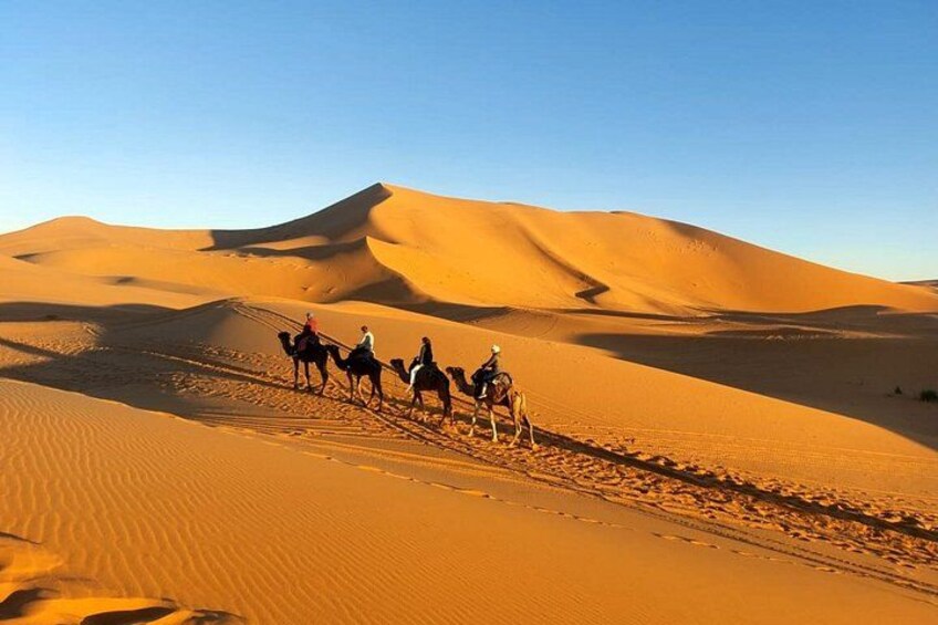 A group of people riding camels across a desert landscape with sand dunes. 2