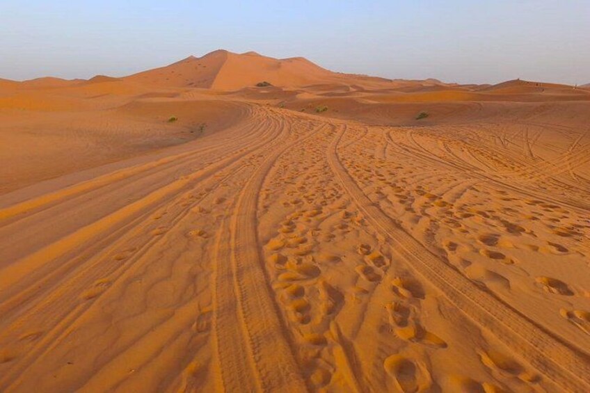 A desert landscape with sand dunes and tire tracks. 3