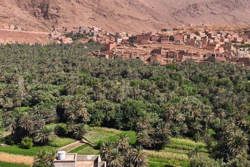 A village with terraced fields and palm trees, surrounded by mountains. 4