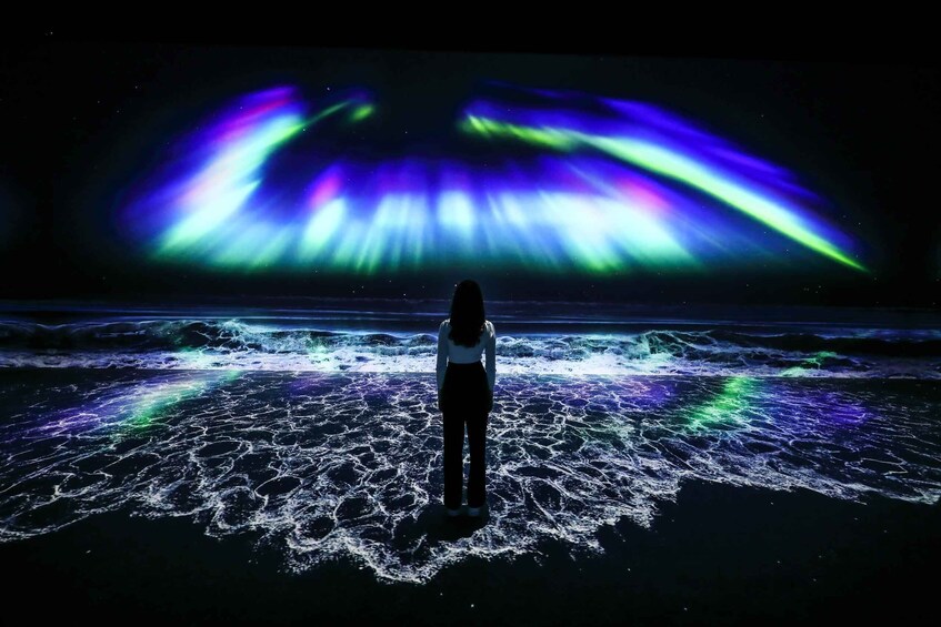 A person standing on a beach with aurora borealis in the background. 5