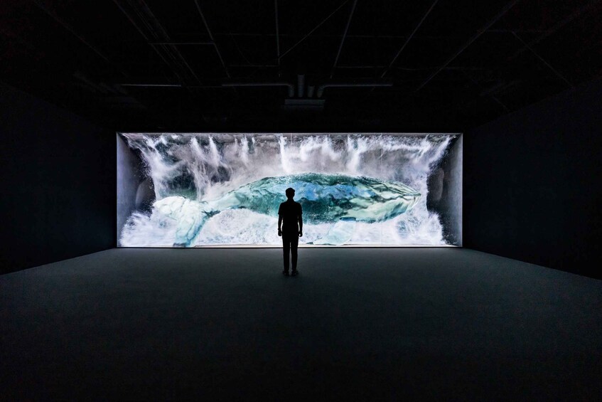 A person standing in front of a large digital display of a waterfall. 3