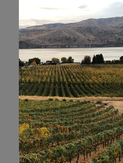 Picture 21 for Activity Seattle: Woodinville Guided Wine Tour with Optional Tastings 5