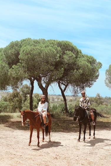 Two people riding horses in a rural setting with a large tree in the background. 2