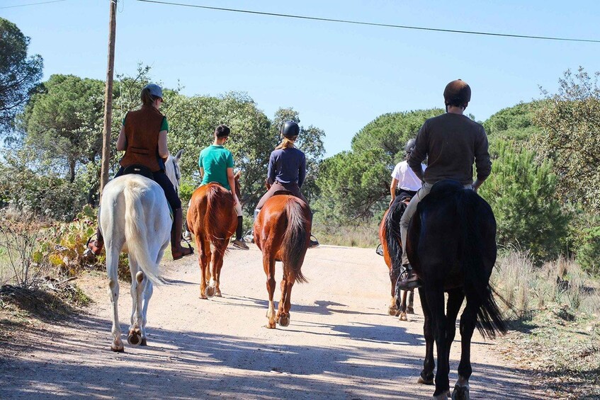 Four people riding horses on a dirt road surrounded by trees. 5