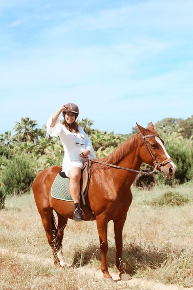 A person riding a brown horse in a grassy field with palm trees in the background. 1