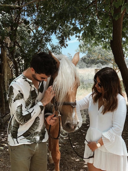 A person petting a horse in a natural setting with trees and a clear sky. 4