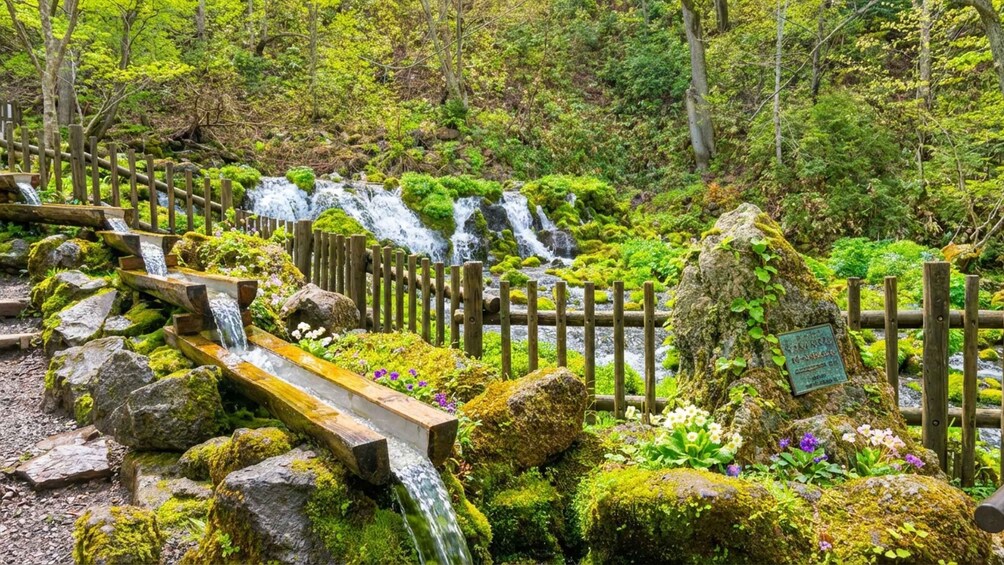 A forested area with a wooden fence, a small waterfall, and a sign on a rock. 3