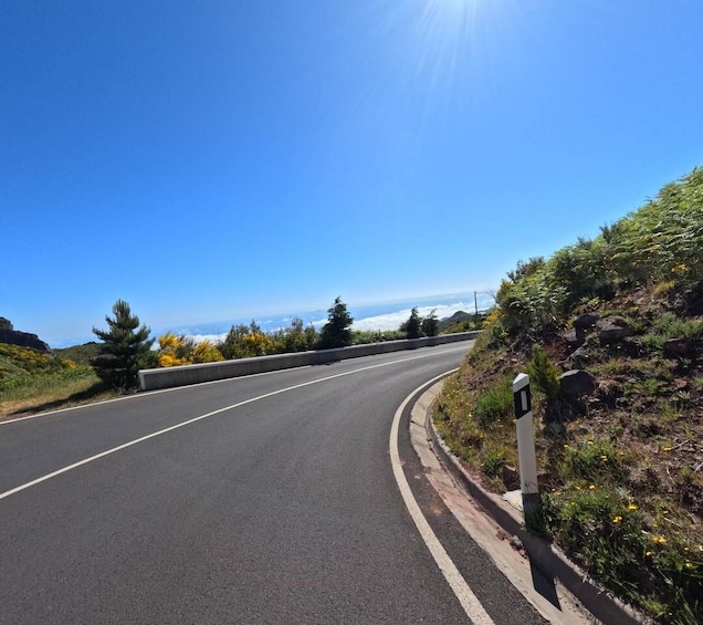 A curving road with a guardrail, surrounded by greenery and a clear blue sky. 4