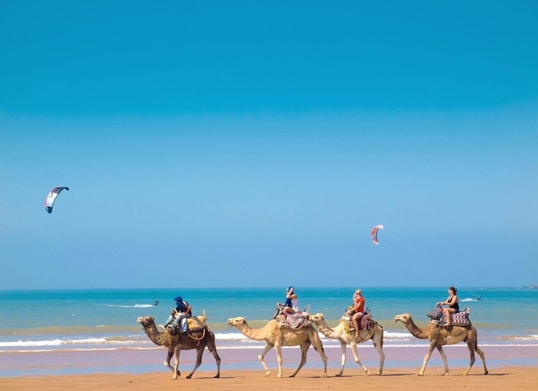 Four camels with riders on a beach, a kite surfer in the sky, and the ocean in the background. 1