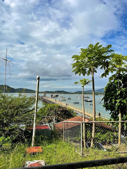 Picture 1 for Activity Experience Taboga tour 5