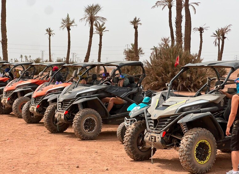 A row of off-road vehicles parked on a sandy surface with palm trees in the background. 3