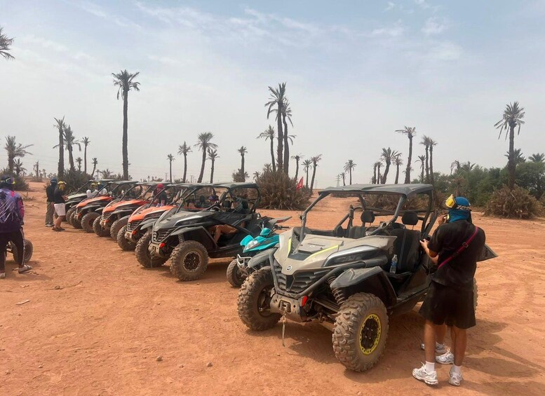 A row of off-road vehicles parked on a dirt road with palm trees in the background. 4