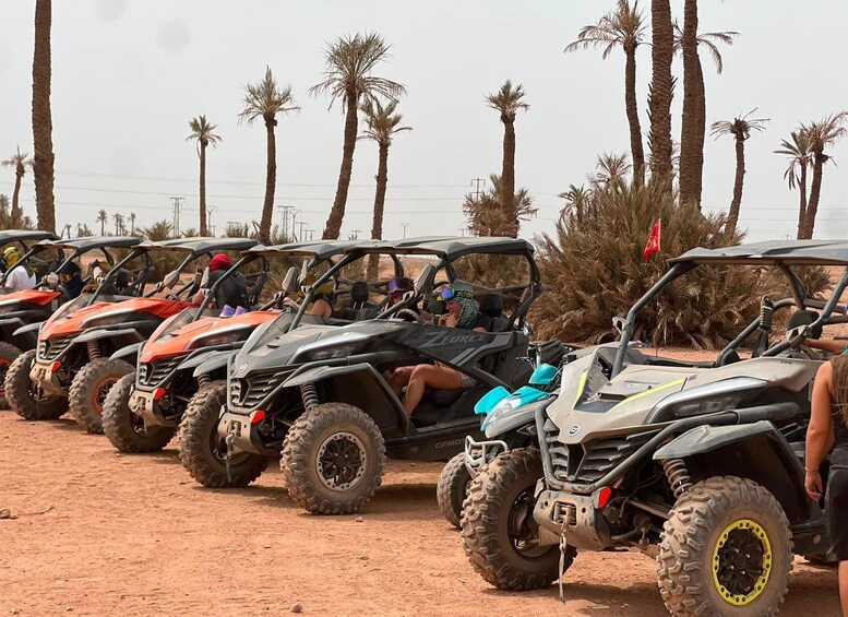 A row of off-road vehicles parked on a dirt road with palm trees in the background. 2
