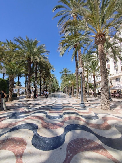 A paved walkway lined with palm trees and buildings in the background. 1