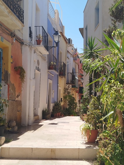 A narrow street lined with colorful buildings, potted plants, and a clear blue sky. 5