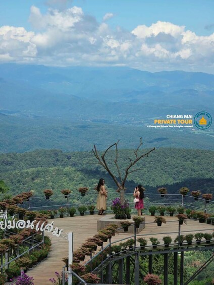 Picture 83 for Activity Chiang Mai: Mon Jam Flower Hills, Alpaca Cafe & Dantewada 2