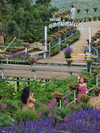 Picture 84 for Activity Chiang Mai: Mon Jam Flower Hills, Alpaca Cafe & Dantewada 4