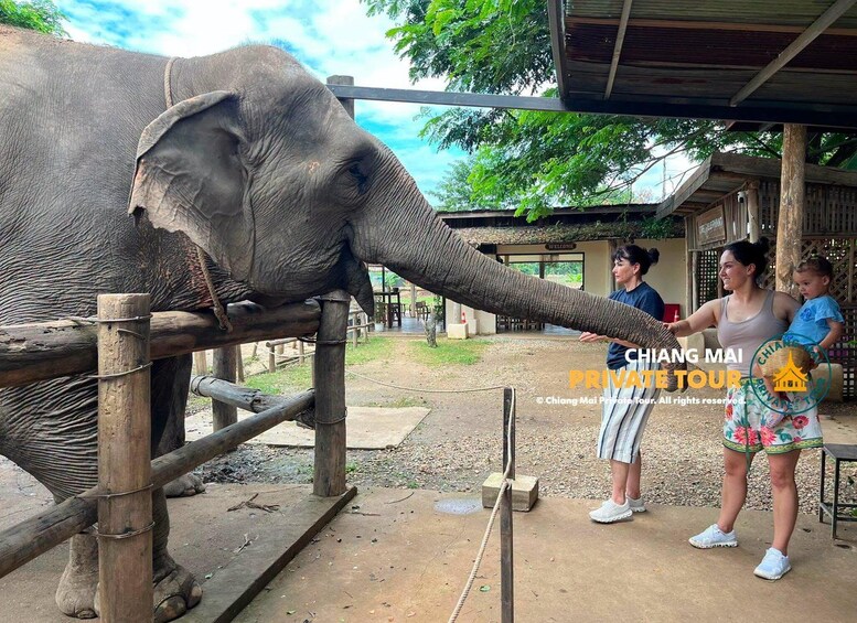Picture 72 for Activity Chiang Mai: Mon Jam Flower Hills, Alpaca Cafe & Dantewada 4