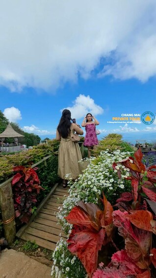 Picture 73 for Activity Chiang Mai: Mon Jam Flower Hills, Alpaca Cafe & Dantewada 2