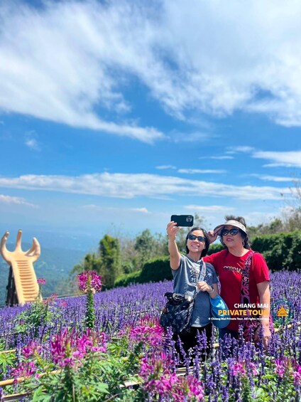 Picture 69 for Activity Chiang Mai: Mon Jam Flower Hills, Alpaca Cafe & Dantewada 2